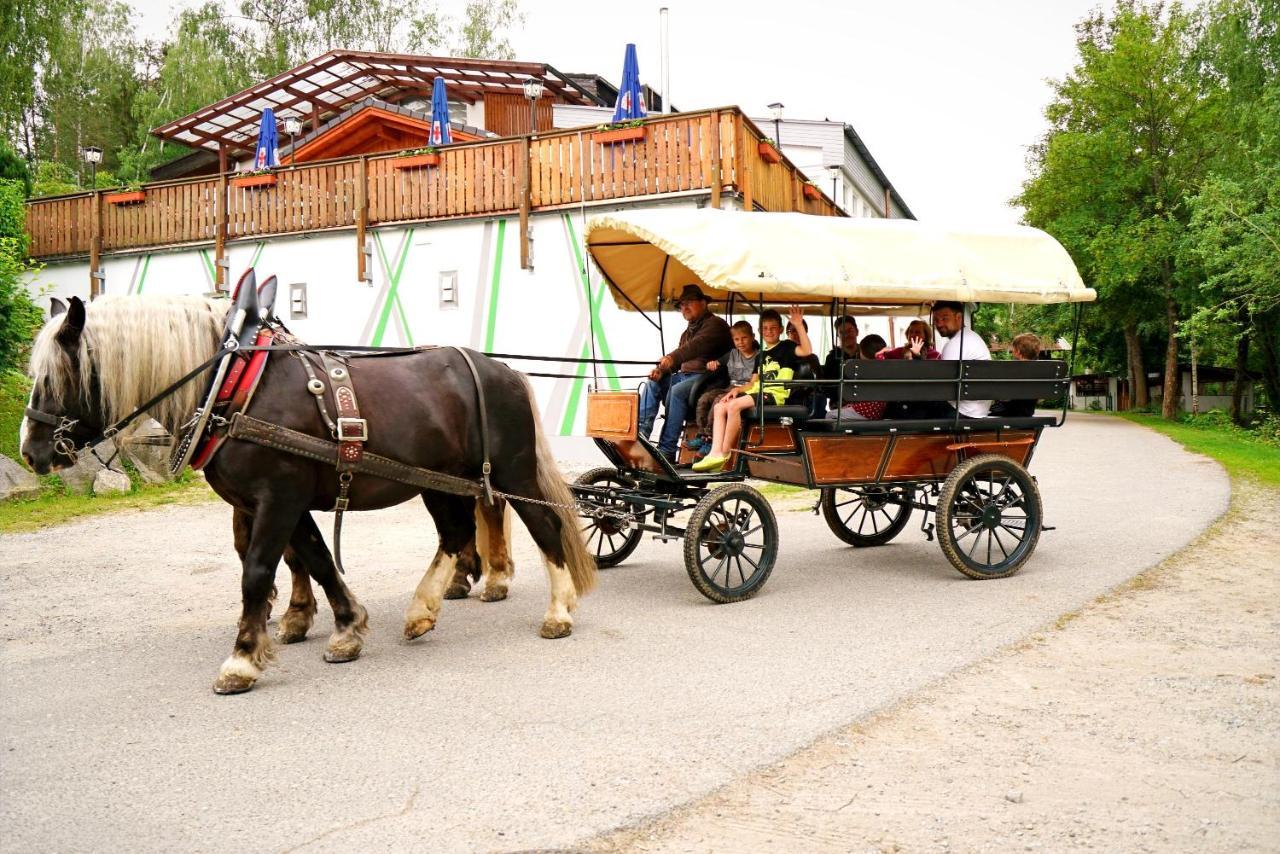 Wildgatter Ferienappartements Grafenwiesen Luaran gambar